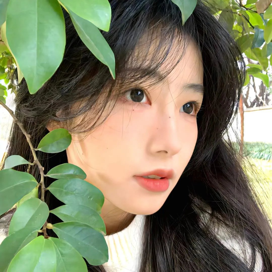 人皮拼图